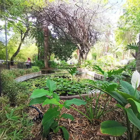 Home2book El Toscal Charming House Santa Cruz de Tenerife